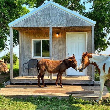 Tiny Cabin At The Donkeyranch Medicine Park المظهر الخارجي الصورة