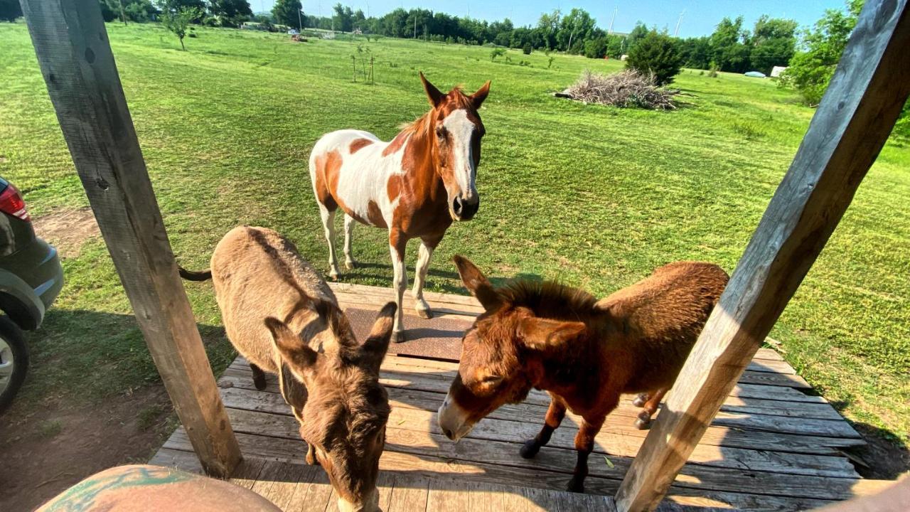 Tiny Cabin At The Donkeyranch Medicine Park المظهر الخارجي الصورة